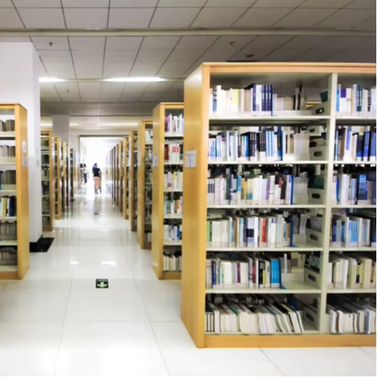 Factory Direct Double-Sided Bo - огляд і ціна Home Office Library